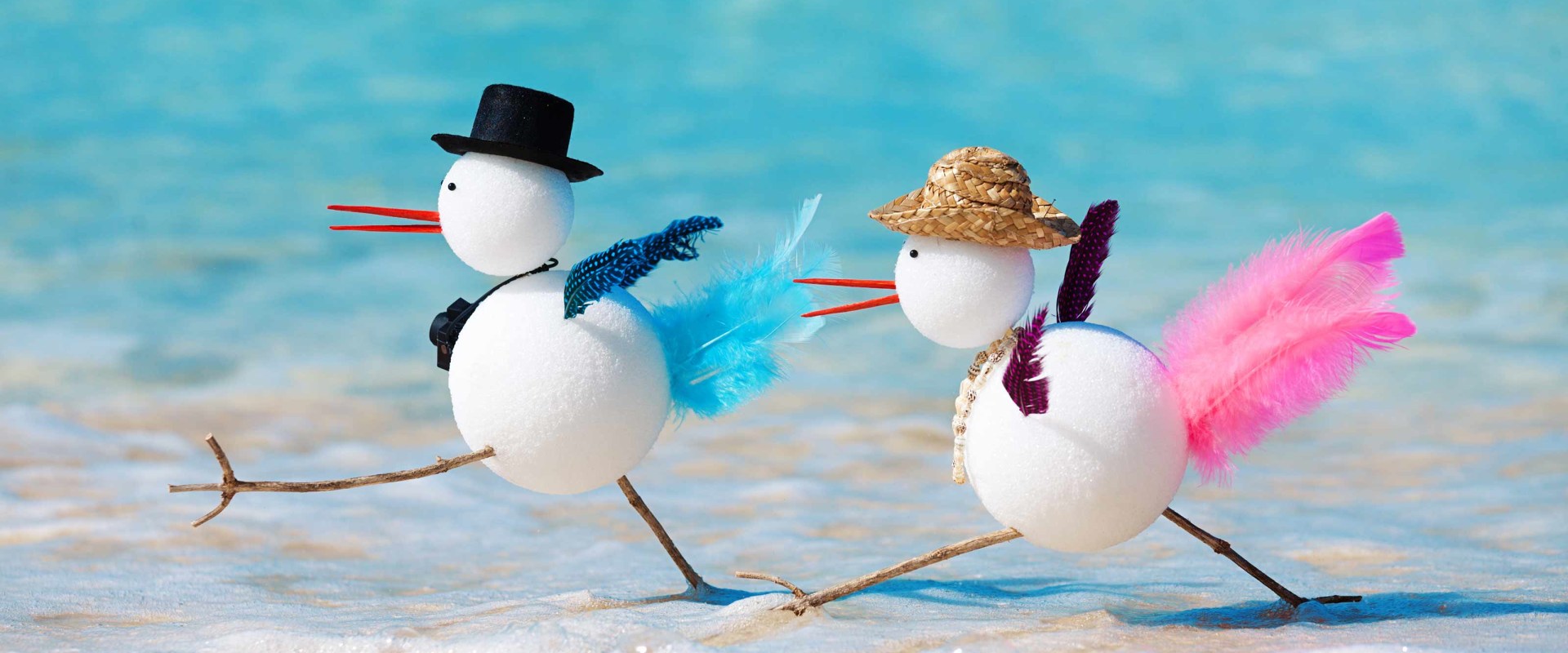 Dmvinfoguide Dmvinfoguide